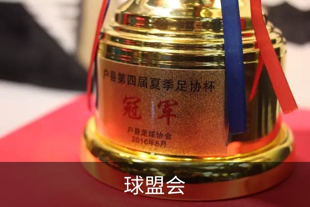 球盟会公司介绍图片